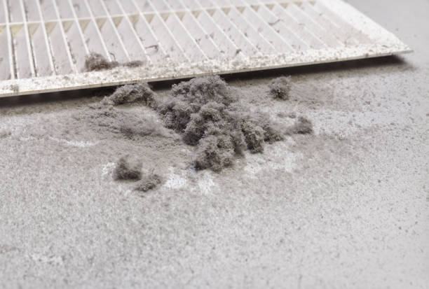 Best Local Air Duct Cleaning Services  in Oak Hill, WV