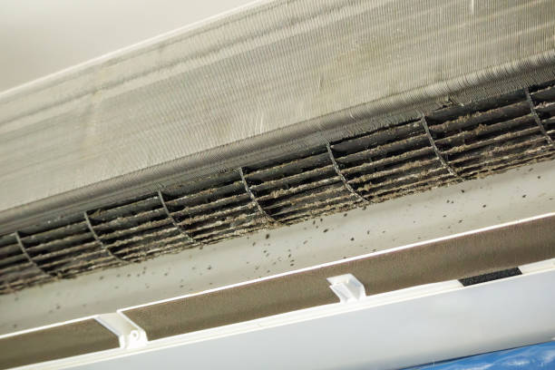 Best Emergency Air Duct Cleaning  in Oak Hill, WV